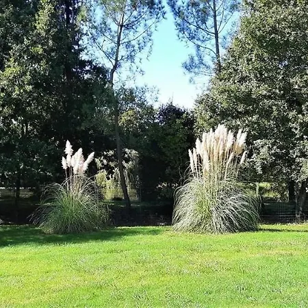 Lejlighed Douceur De Vivre Saint-Avaugourd-des-Landes
