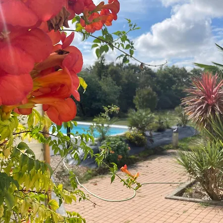 Douceur De Vivre Apartament *