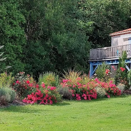 Douceur De Vivre *